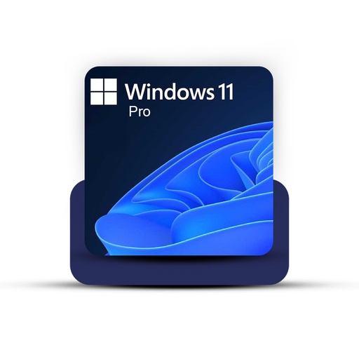 Windows 11 Pro
